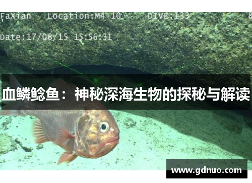 血鳞鲶鱼：神秘深海生物的探秘与解读